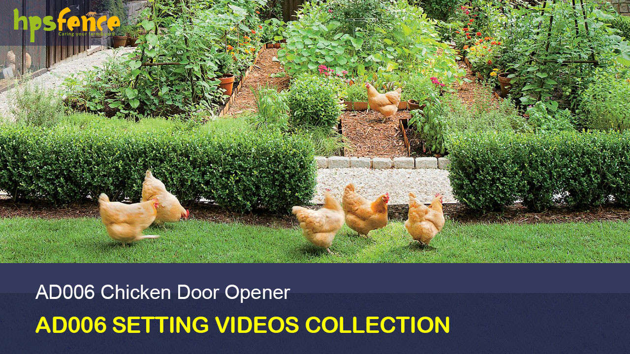 AD006 Chicken Coop Door Opener Videos Collection