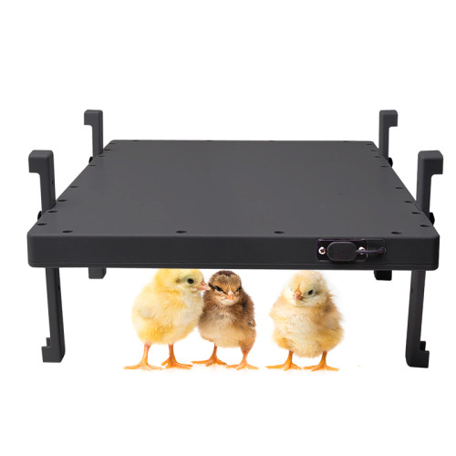 Chicken Coop Heater,100 Watts Energy Efficient Safer,3 Installation Style,Flat-Panel Radiant Heater with Thermal Protector, Energy-Efficient, Easy to Install, Ideal for Small Animals