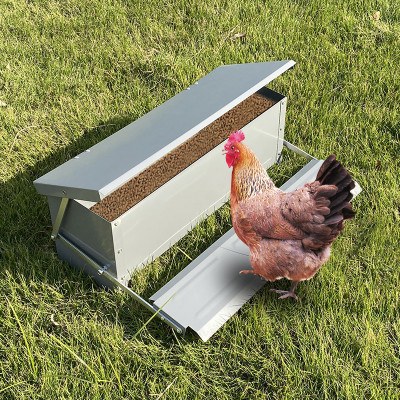Metal Trendle Automatic Poultry Feeder With Lid For Chicken, Sturdy Galvanized Steel Poultry Feeders, Automatic Chicken Feeder