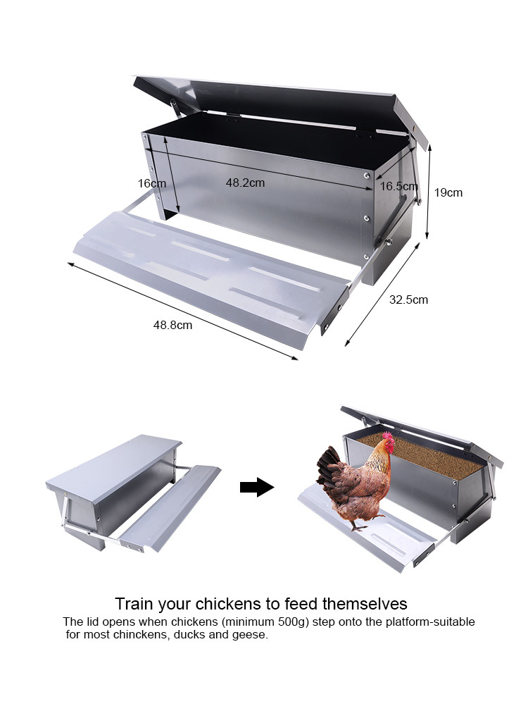 hps fence automatic chicken feeder