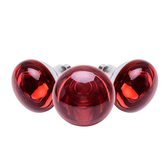 Red Heat Lamp Bulbs,Chicken Infrared Light Bulb, Brooder Heat Lamps for Chickens, Glass Lamp Bulb for Food Service, Brooder Bulb