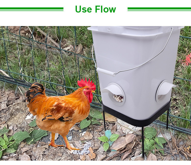 Automatic Poultry feeder