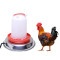 Chicken Water Heater, Heated Chicken Water in Winter, Metal or Plastic Poultry Heated Waterer for Chicken with Thermostat