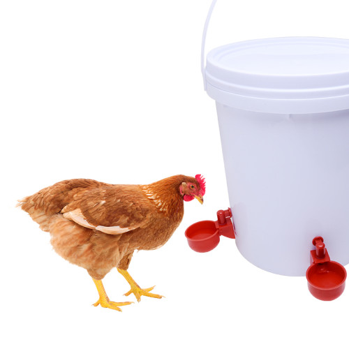 20L Automatic Poultry Waterer Drinker With 4 Water Cups , Automatic Chicken Drinker for Outside or Indoor