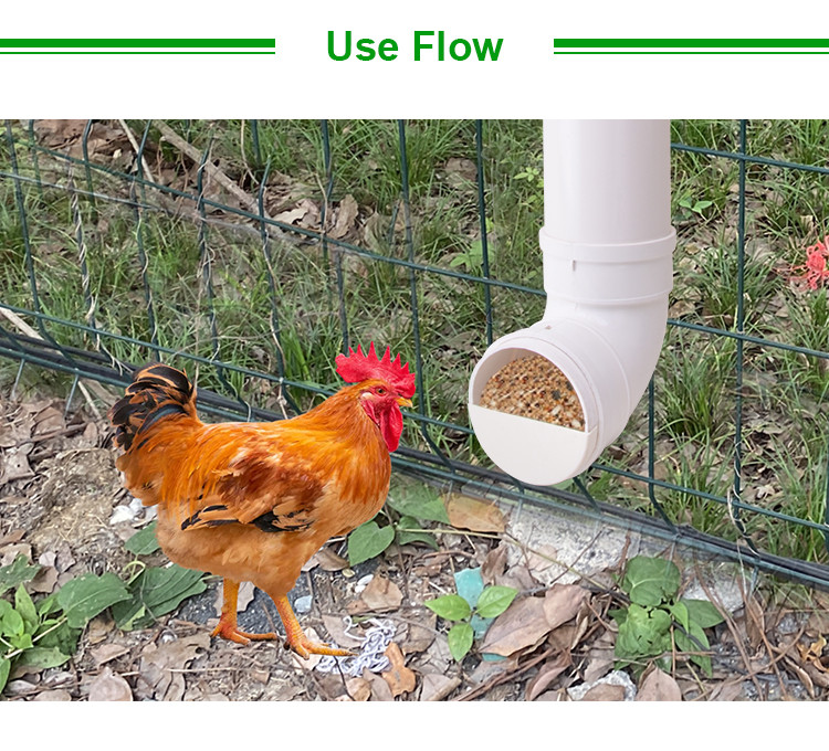 Automatic Poultry feeder