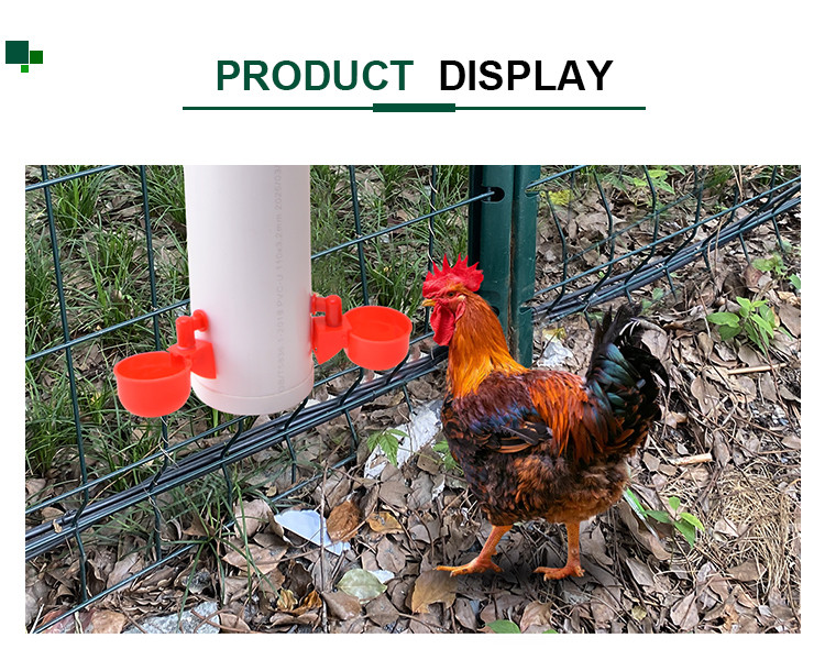 poultry water drinker