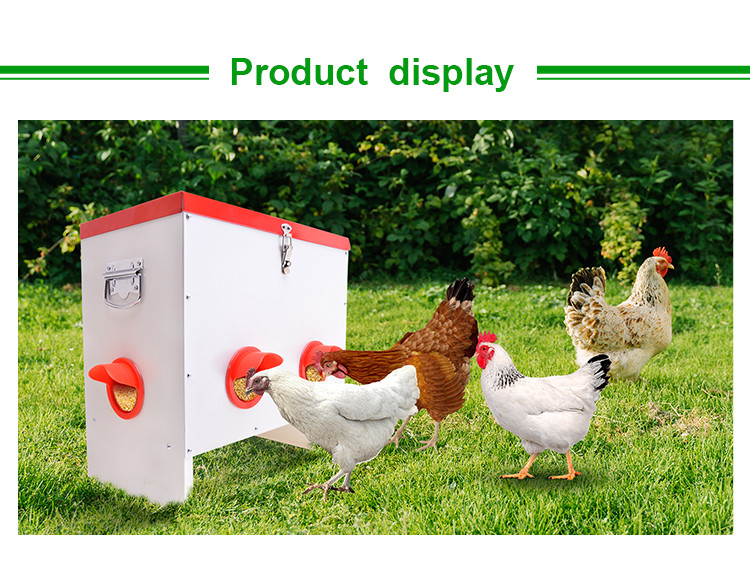 Automatic Poultry feeder