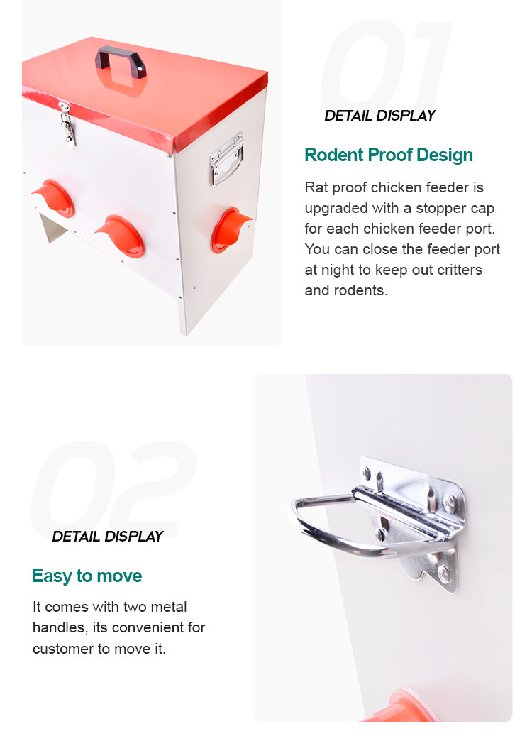Automatic Poultry feeder