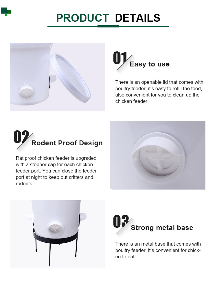 Automatic Poultry feeder