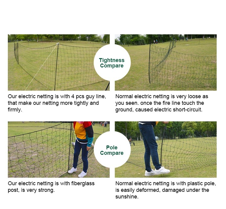hps fence electric poultry netting