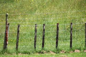 The Ultimate Guide to Choosing the Best Fence Energizer for Your Animals and Property
