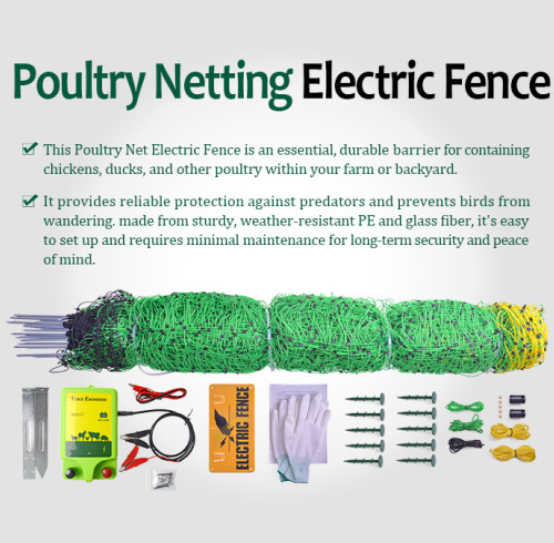 New Arrival: High-Performance Electric Poultry Netting Kit for Poultry Farms & Distributors