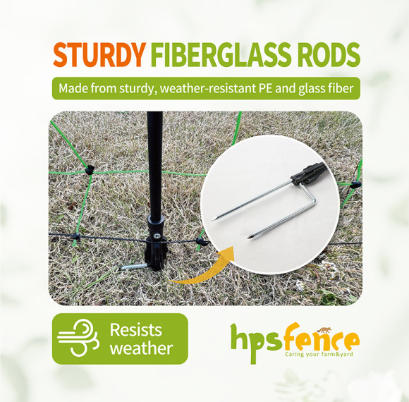 Customized Electric Fence Solutions 1.26*50M Electric Poultry Netting Kit - for OEM & ODM Partnerships, Ideal for Chicken Fencing and Poultry Farm Equipment Distribution