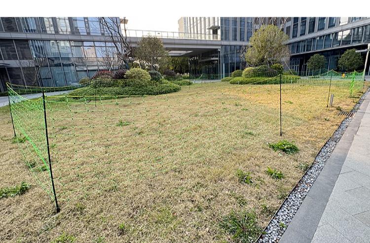 hps fence electric poultry netting