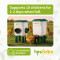7L+8KG Automatic Poultry Waterer and Feeder Set With 4 Water Cups , Automatic Chicken Drinker for Outside or Indoor