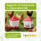 6L Waterer 8KG Automatic Chicken Feeder Set with 4 Drinking Cups for Outdoor Indoor Backyard Poultry