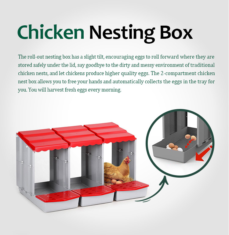 hps fence automatic poultry waterer drinker