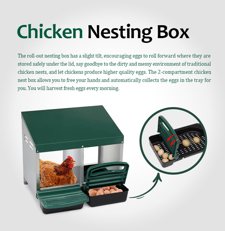 hps fence automatic poultry waterer drinker
