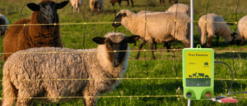 the steps to repair the electric fence energizer