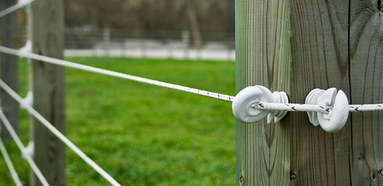 insulators for electric fence