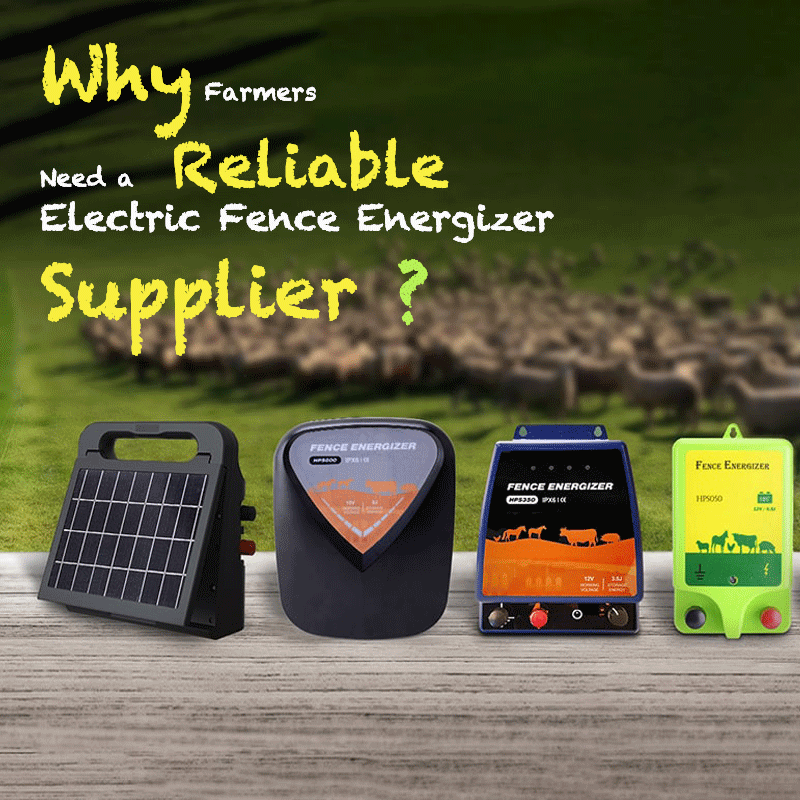 Why Farmers Need a Reliable Electric Fence Energizer Supplier