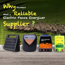 Why Farmers Need a Reliable Electric Fence Energizer Supplier