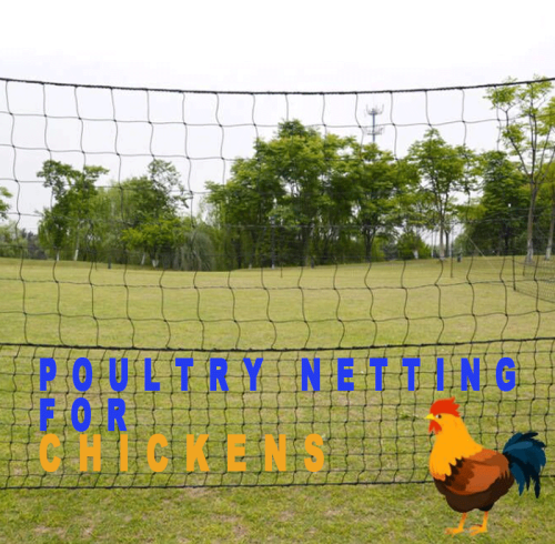 HPS FENCE Poultry Netting – Durable & Portable Chicken Fencing Solutions
