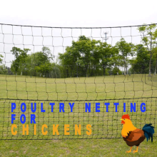 HPS FENCE Poultry Netting – Durable & Portable Chicken Fencing Solutions