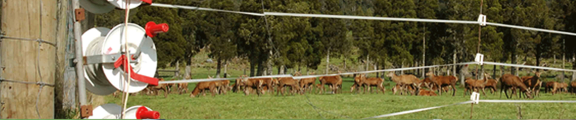 Electric Fence Reels