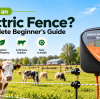 What Is an Electric Fence? A Complete Beginner's Guide