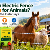 Is an Electric Fence Safe for Animals? What the Data Says