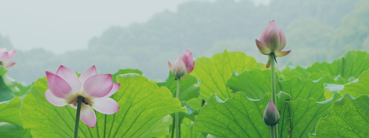 China & Us trabajaremos juntos para abordar el cambio climático. Limpio y bajo desperdicio para frascos de perfume.