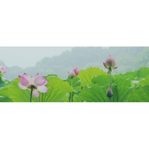 China & Us will work together to tackle climate change. Clean & low waste for perfume bottles.