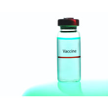 Chinese covid vaccine gets WHO emergency approval. GP bottles do your online perfume packaging service.