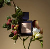 Brecourt Perfume: A Niche French Brand Blending Oriental Elegance