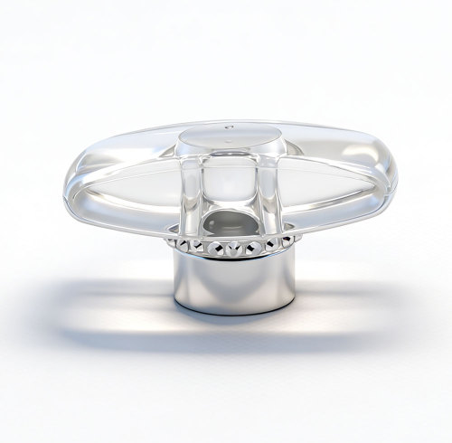 transparent surlyn plastic caps for glass bottles manufacturer | GP Bottles