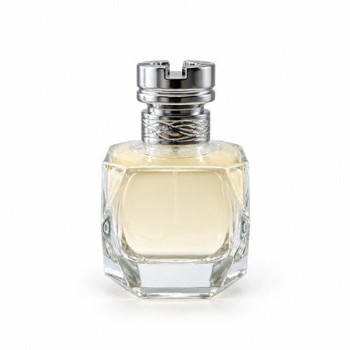 Customizable Perfume Caps for Brands | Tailored Luxury Packaging Solutions | Expert OEM & ODM Services for Wholesale from GP Bottles