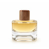 Wholesale Premium Zamac Perfume Caps | Customizable Perfume Bottle Lids | Quality Assurance with GP Bottles