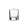 Wholesale Glass Perfume Bottles: Customizable Powered100ml Modern Design from China
