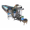 Hardware packing machine with counting function