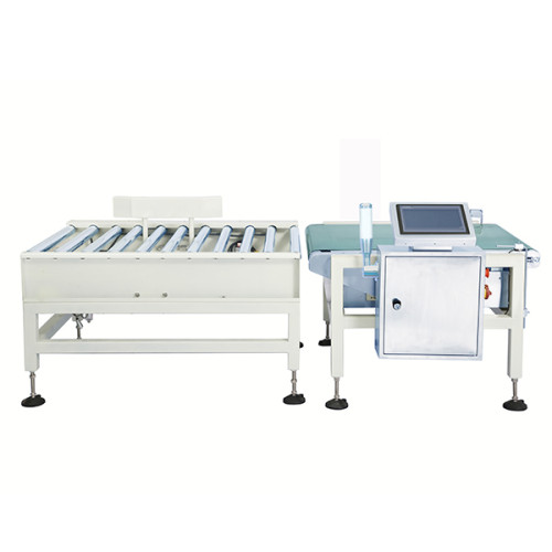 DCL series durable industrial checkweigher provide warranty