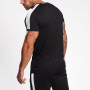 Vente en gros Chemises Dry Fit Raglan T-shirts de gymnastique personnalisés à manches courtes pour hommes-Aktik