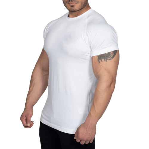 Vente en gros T-shirts en vrac à manches courtes Raglan pour hommes en coton Slim Fit T-shirts-Aktik