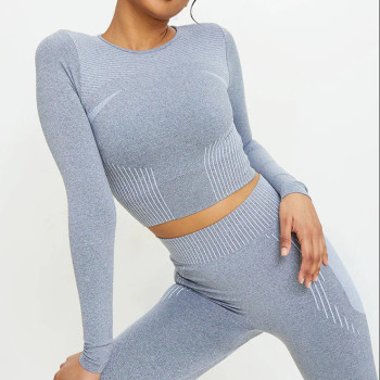 Custom Crew Neck Long Sleeve Crop Top Seamless Activewear for Women-Aktik