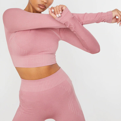 Custom Crew Neck Long Sleeve Crop Top Seamless Activewear for Women-Aktik