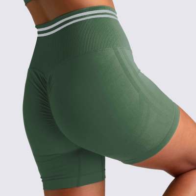 Custom Sports Bra and Scrunch Butt Biker Shorts Seamless Set for Women-Aktik