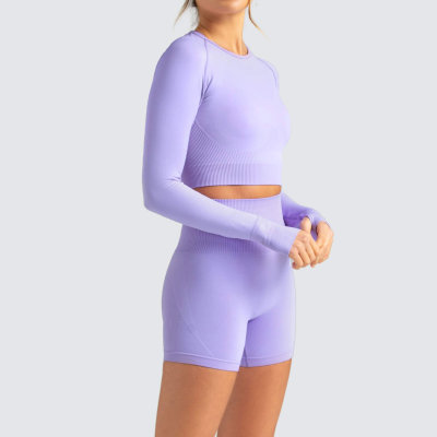 Custom Long Sleeve Yoga Set Crew Neck Crop Top Seamless Gym Wear for Women-Aktik