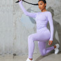 Custom Dri Fit Workout Top Long Sleeve Seamless Shirt Women's Top Seamless-Aktik