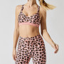 Private Label Leopard Printed Custom Fitness Apparel Wholesale Gym Wear-Aktik