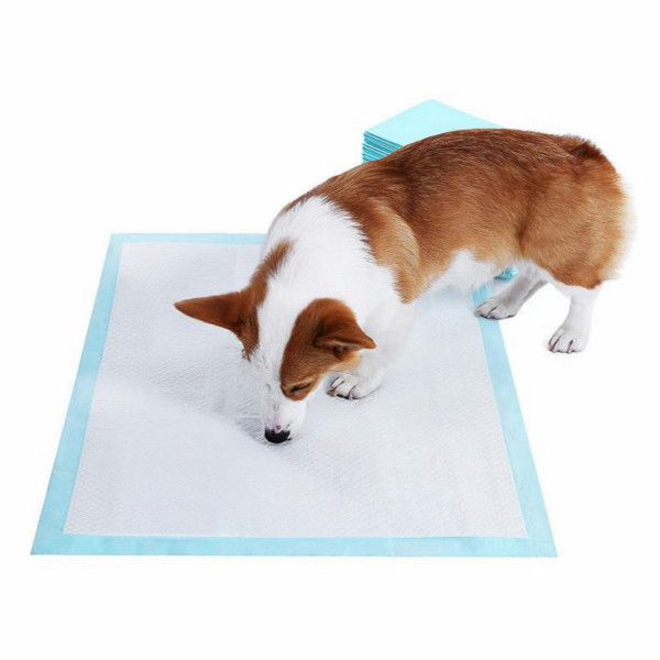 almohadillas de entrenamiento para cachorros